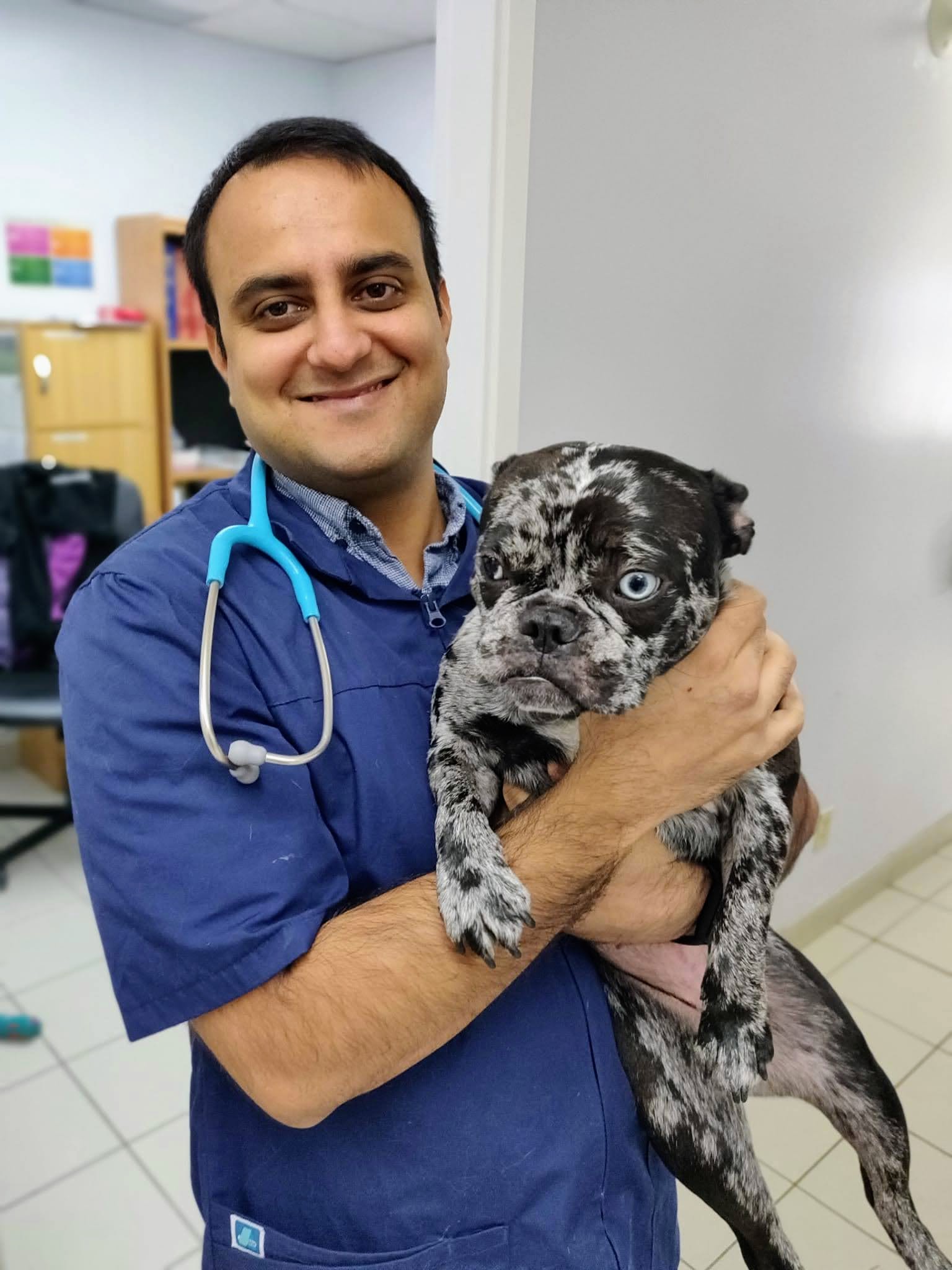 Dr. Ankush Arora, DVM